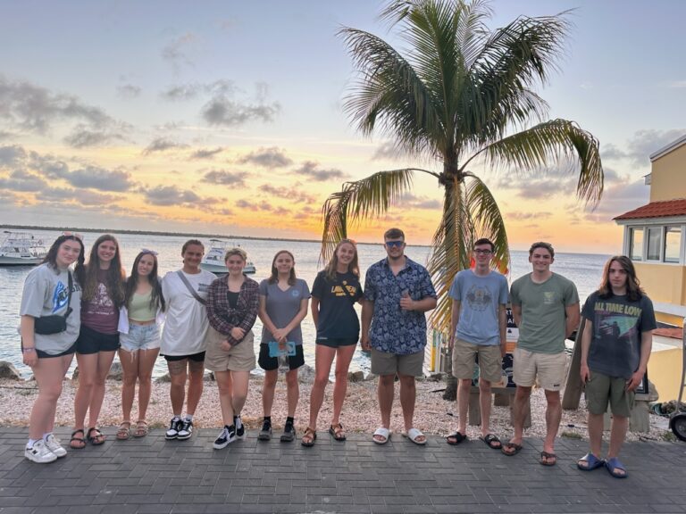 Sunrise Sea Turtles Leads Hatchling Release