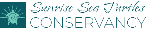 Sunrise Sea Turtles Conservancy